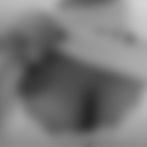 rencontre-Cougar-Saint-Claude